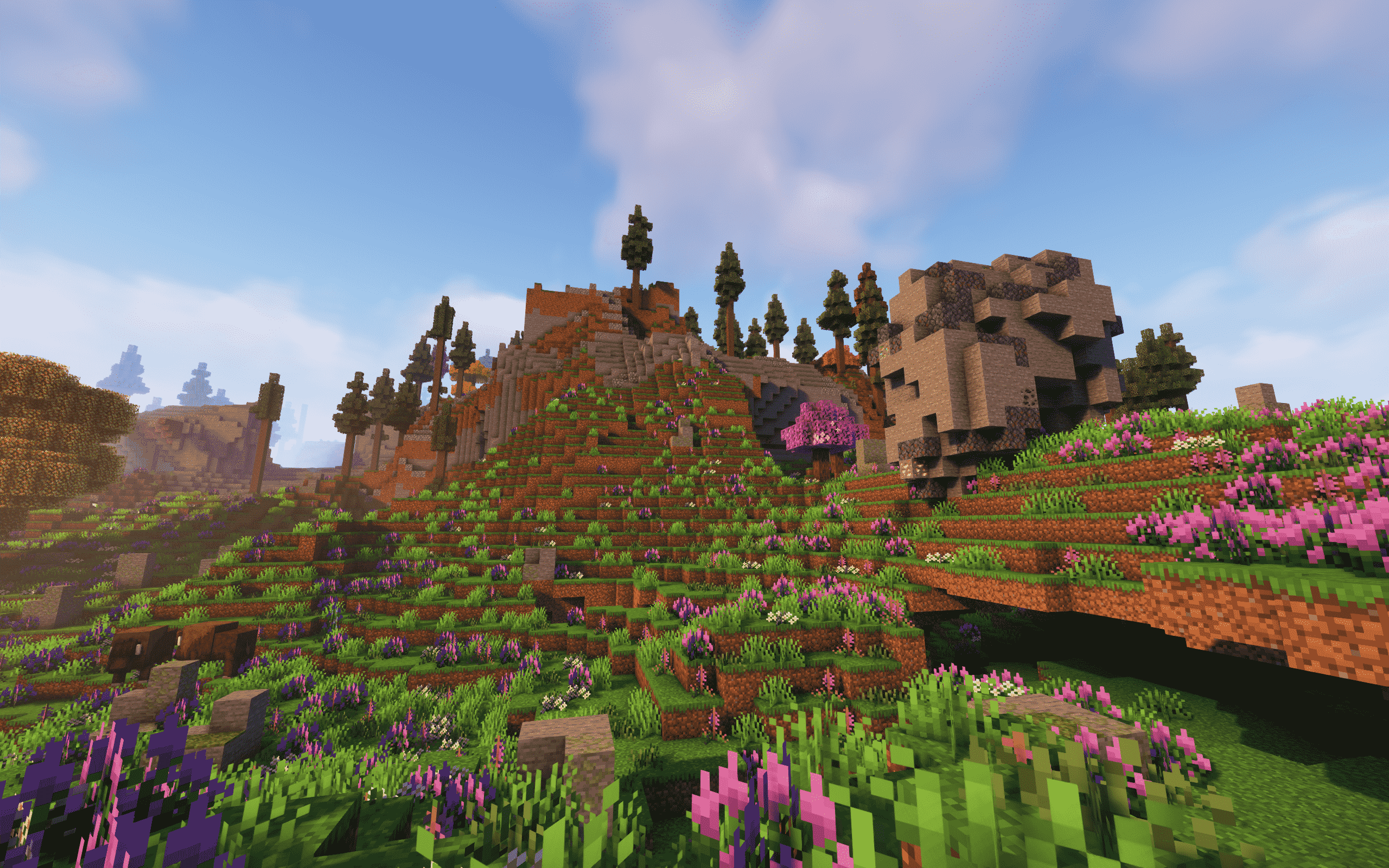 The cover picture of the next content