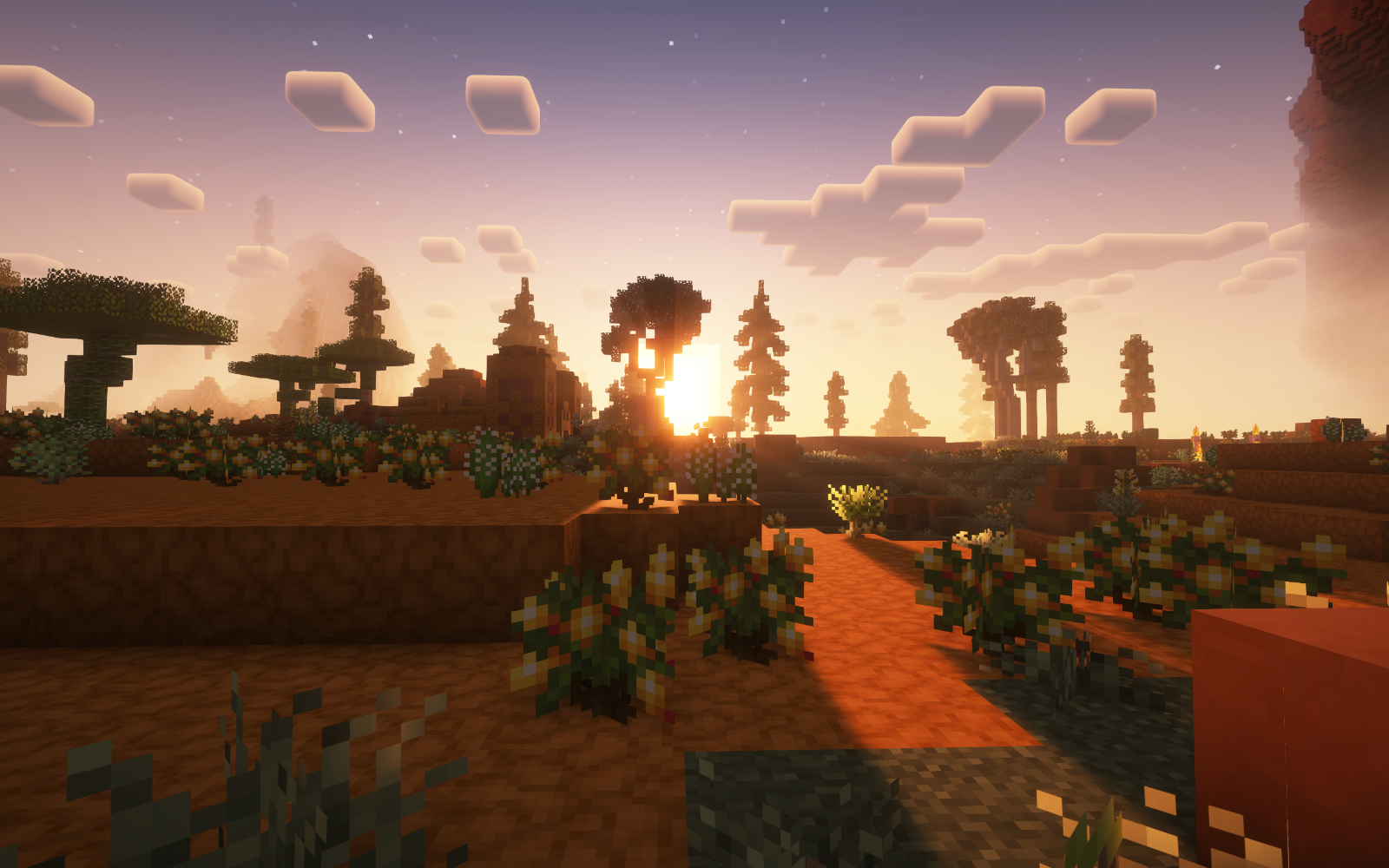 深入理解C/C++编译技术——动态库A4：链接时符号缺失行为与运行时动态加载|Hello World